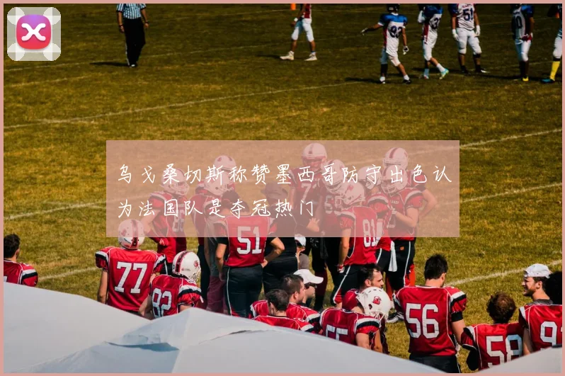 乌戈桑切斯称赞墨西哥防守出色认为法国队是夺冠热门